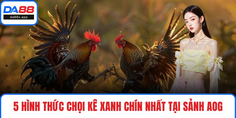 AOG Đá Gà - Trải Nghiệm Những Trận Đấu Kịch Tính Tại DA88 5 hình thức chọi kê xanh chín nhất tại sảnh AOG
