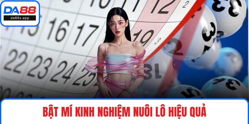 Nuôi Lô Kép Khung 2 Ngày Chuẩn Xác, Tỷ Lệ Ăn Cao Cùng DA88 Bật mí kinh nghiệm nuôi lô hiệu quả