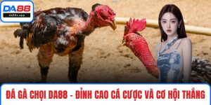 Đá gà chọi
