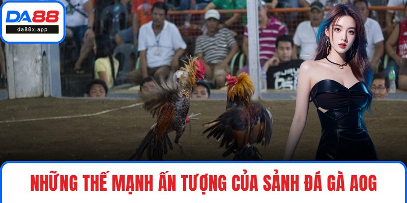 AOG Đá Gà - Trải Nghiệm Những Trận Đấu Kịch Tính Tại DA88 Những thế mạnh ấn tượng của sảnh đá gà AOG