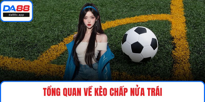 Kèo Chấp Nửa Trái DA88 - Phương Pháp Xuống Tiền Linh Hoạt Tổng quan về kèo chấp nửa trái